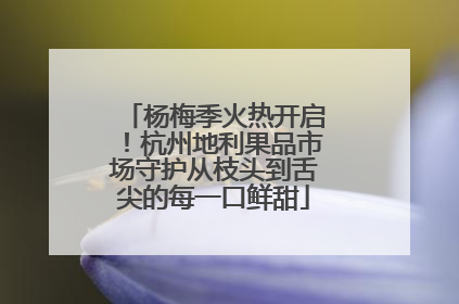 杨梅季火热开启！杭州地利果品市场守护从枝头到舌尖的每一口鲜甜