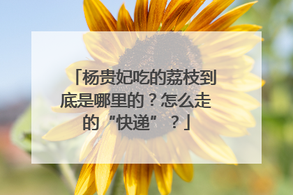 杨贵妃吃的荔枝到底是哪里的？怎么走的“快递”？