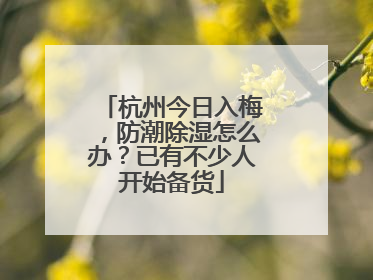杭州今日入梅，防潮除湿怎么办？已有不少人开始备货
