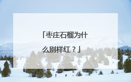 枣庄石榴为什么别样红？