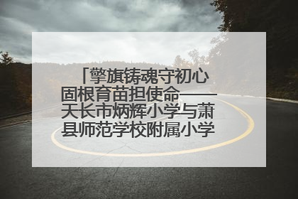 擎旗铸魂守初心 固根育苗担使命——天长市炳辉小学与萧县师范学校附属小学结对共建活动纪实