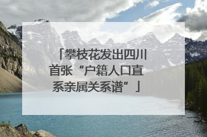 攀枝花发出四川首张“户籍人口直系亲属关系谱”