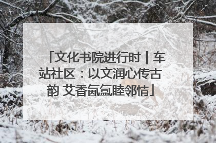 文化书院进行时｜车站社区：以文润心传古韵 艾香氤氲睦邻情