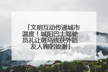 文明互动传递城市温度！城阳巴士驾驶员礼让斑马线获外籍友人鞠躬致谢