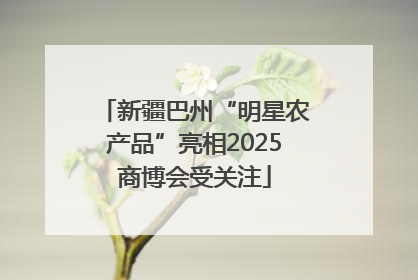 新疆巴州“明星农产品”亮相2025商博会受关注