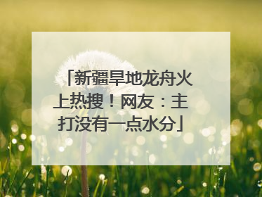 新疆旱地龙舟火上热搜！网友：主打没有一点水分
