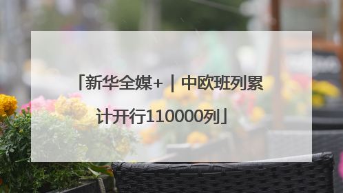 新华全媒+｜中欧班列累计开行110000列
