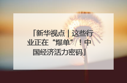 新华视点｜这些行业正在“爆单”！中国经济活力密码