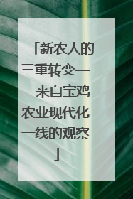 新农人的三重转变——来自宝鸡农业现代化一线的观察