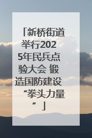新桥街道举行2025年民兵点验大会 锻造国防建设“拳头力量”