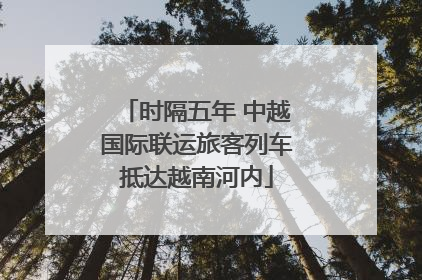 时隔五年 中越国际联运旅客列车抵达越南河内