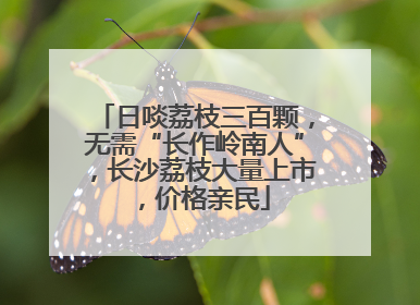 日啖荔枝三百颗，无需“长作岭南人”，长沙荔枝大量上市，价格亲民