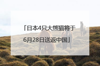 日本4只大熊猫将于6月28日送返中国