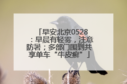 早安北京0528：早晨有轻雾，注意防暑；多部门围剿共享单车“牛皮癣”