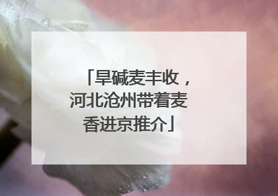 旱碱麦丰收，河北沧州带着麦香进京推介