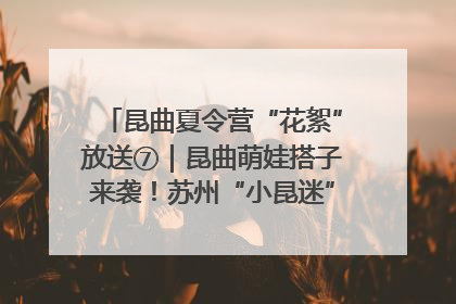 昆曲夏令营“花絮”放送⑦｜昆曲萌娃搭子来袭！苏州“小昆迷”姐弟期待同台演绎“姑苏水磨调”