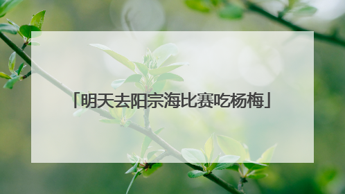 明天去阳宗海比赛吃杨梅