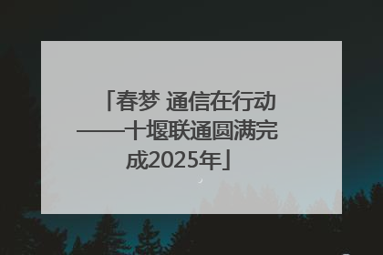 春梦 通信在行动——十堰联通圆满完成2025年