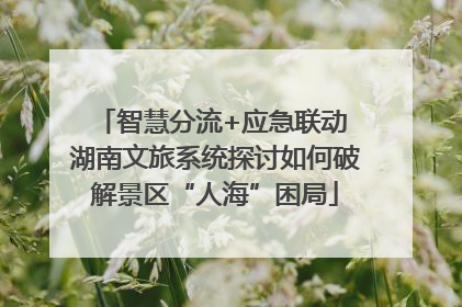 智慧分流+应急联动 湖南文旅系统探讨如何破解景区“人海”困局