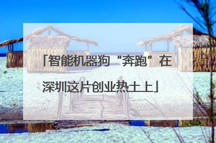 智能机器狗“奔跑”在深圳这片创业热土上