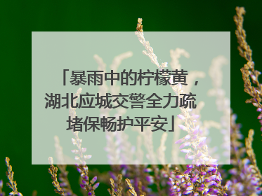 暴雨中的柠檬黄，湖北应城交警全力疏堵保畅护平安