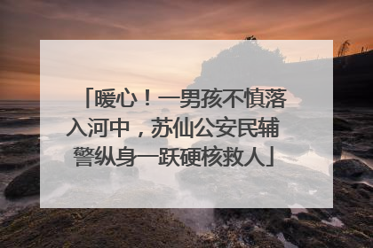 暖心！一男孩不慎落入河中，苏仙公安民辅警纵身一跃硬核救人