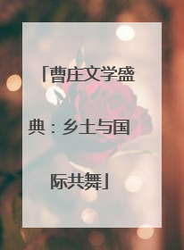 曹庄文学盛典：乡土与国际共舞