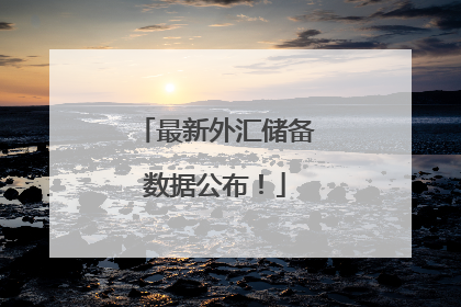 最新外汇储备数据公布！