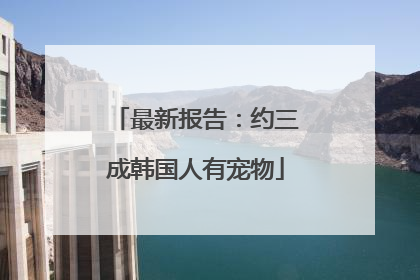 最新报告：约三成韩国人有宠物