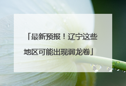 最新预报！辽宁这些地区可能出现弱龙卷