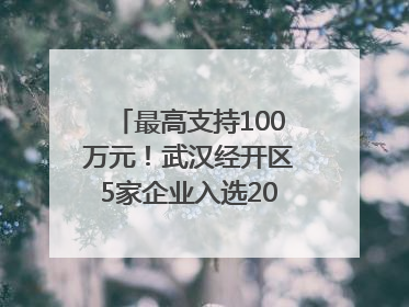 最高支持100万元！武汉经开区5家企业入选2025年度武汉市重点研发计划拟立项项目名单