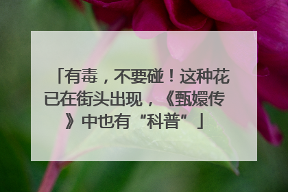 有毒，不要碰！这种花已在街头出现，《甄嬛传》中也有“科普”