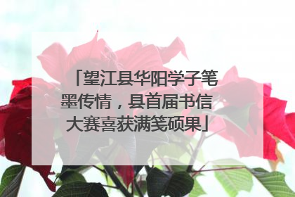 望江县华阳学子笔墨传情，县首届书信大赛喜获满笺硕果