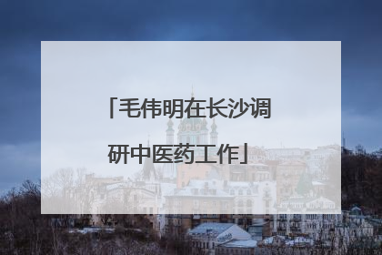 毛伟明在长沙调研中医药工作