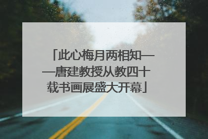 此心梅月两相知——唐建教授从教四十载书画展盛大开幕