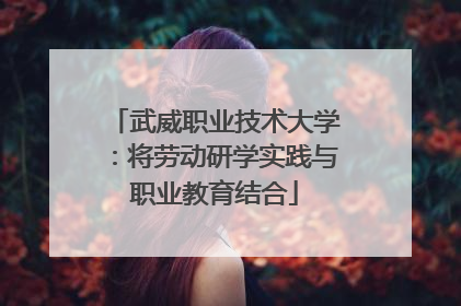 武威职业技术大学：将劳动研学实践与职业教育结合