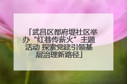 武昌区都府堤社区举办“红巷传薪火”主题活动 探索党建引领基层治理新路径