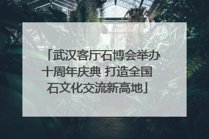 武汉客厅石博会举办十周年庆典 打造全国石文化交流新高地