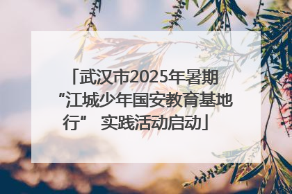 武汉市2025年暑期“江城少年国安教育基地行” 实践活动启动