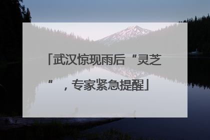 武汉惊现雨后“灵芝”，专家紧急提醒