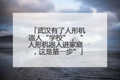 武汉有了人形机器人“学校”，“人形机器人进家庭，这是第一步”