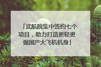 武航院集中签约七个项目，助力打造更轻更强国产大飞机机身