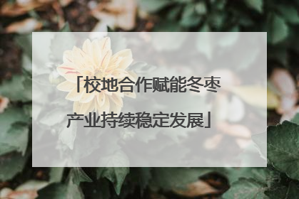 校地合作赋能冬枣产业持续稳定发展