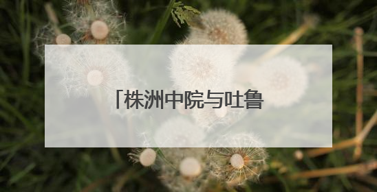 株洲中院与吐鲁番中院签订司法调研合作协议