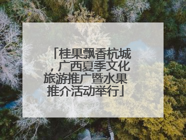 桂果飘香杭城，广西夏季文化旅游推广暨水果推介活动举行