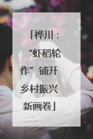 桦川：“虾稻轮作”铺开乡村振兴新画卷