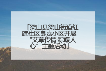 梁山县梁山街道红旗社区良嘉小区开展“艾草传情·粽暖人心”主题活动
