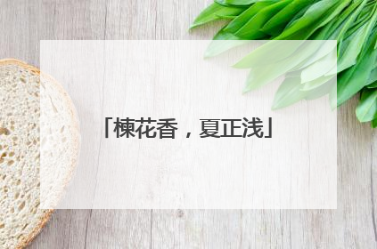 楝花香，夏正浅
