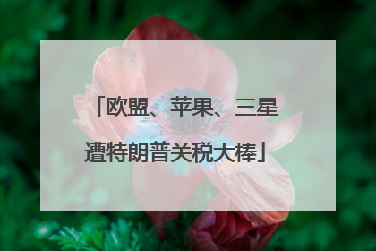 欧盟、苹果、三星遭特朗普关税大棒