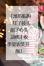 潍坊临朐：红了枝头 甜了心头 油桃丰收季果农笑开颜